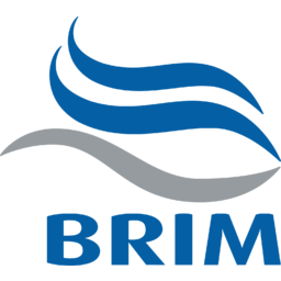 Brim hf. Logo