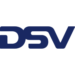 DSV Logo