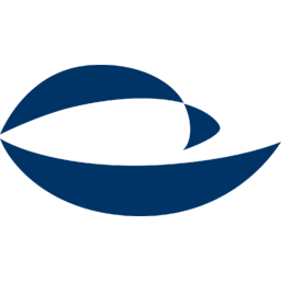 Suominen Logo