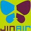 Jin Air
 logo