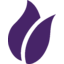 Wayfair Logo