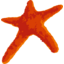 Lundbeck
 logo