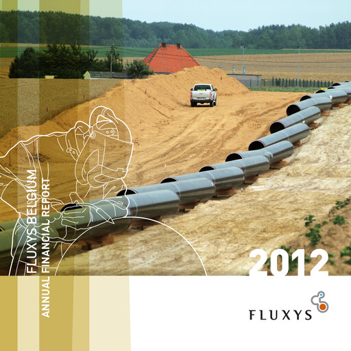 Thumbnail Fluxys Belgium Annual Report 2012